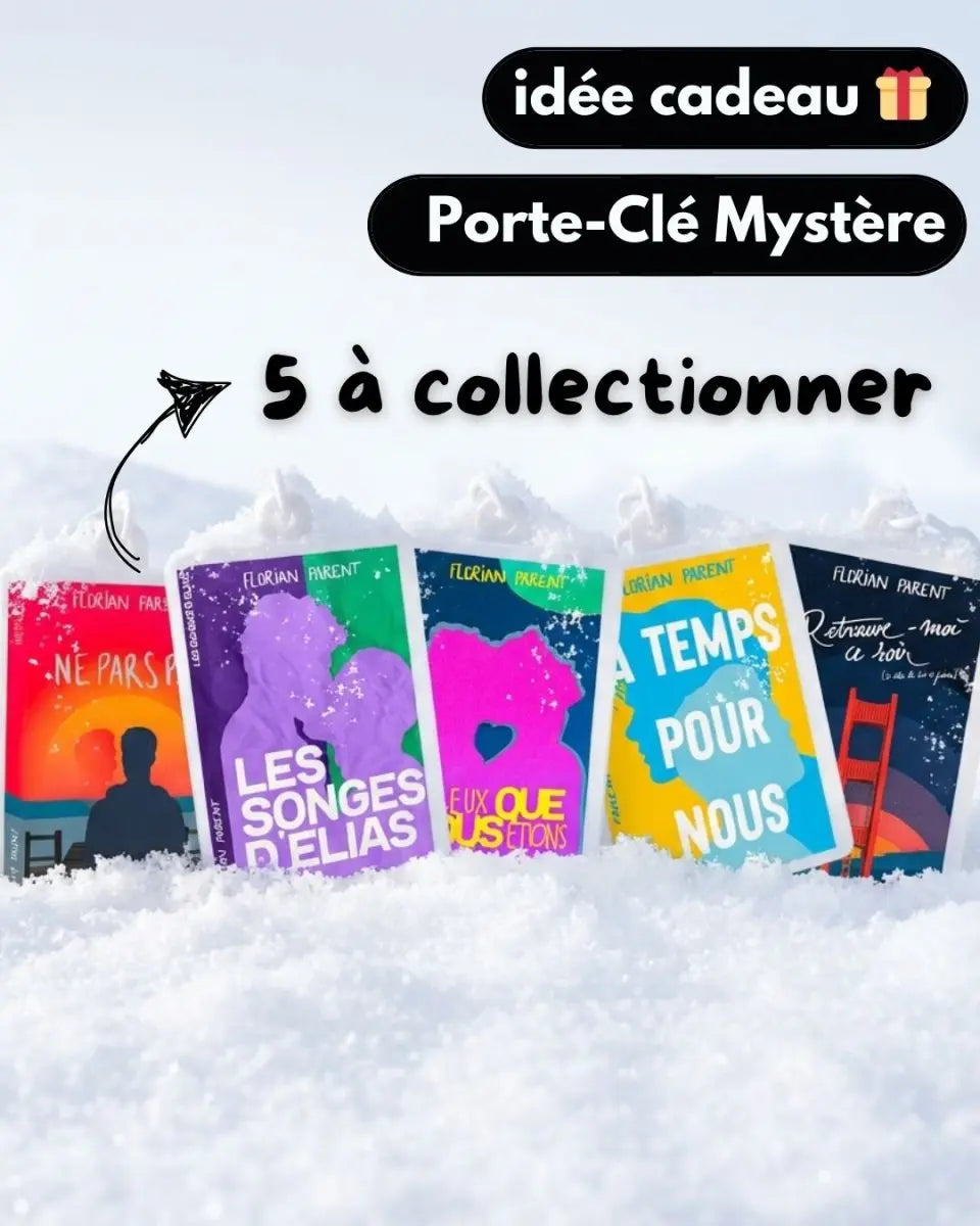 Porte - Clés Mystère – Édition Limitée Noël - Blind Box - roman gay livre mm - Florian Parent