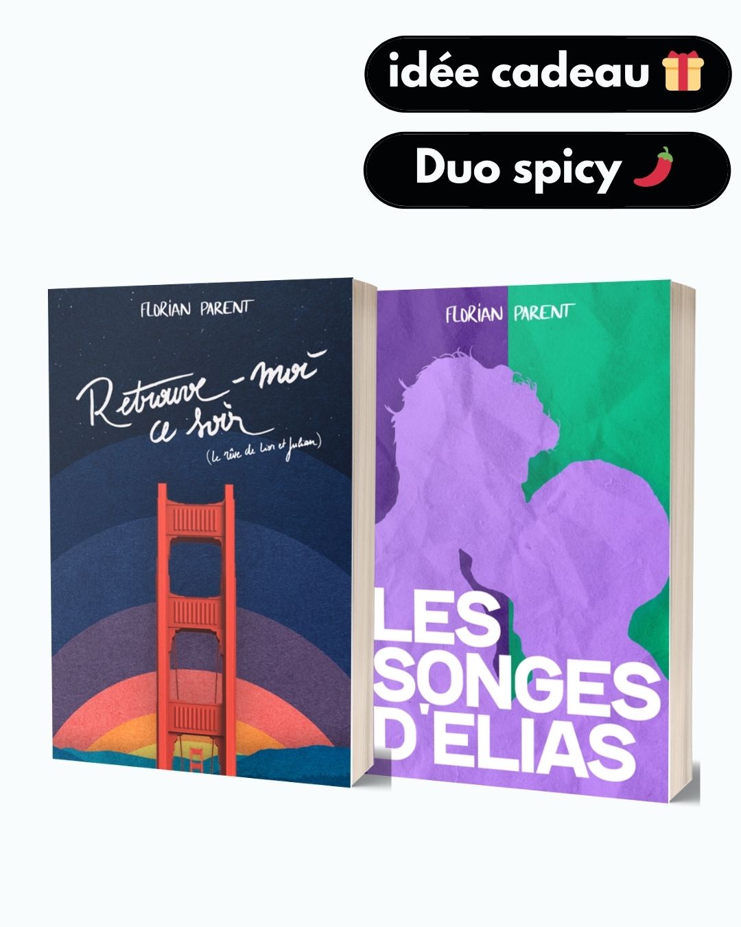 Lot Noël - 2 romances gay - &quot;Spicy &amp; Dreamy 🌶️🤩&quot; -  Florian Parent