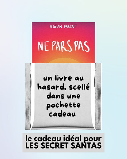 Livre Romance Gay Mystère - Idée cadeau Secret Santa - livre broché au hasard !