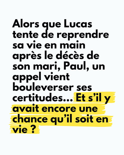 Ne Pars Pas - Roman Gay Graphique Illustrée - Collector Édition Limitée