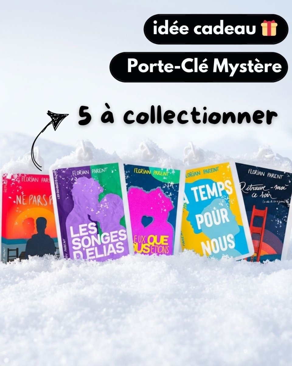 Porte - Clés Mystère – Édition Limitée Noël - Blind Box - roman gay livre mm - Florian Parent